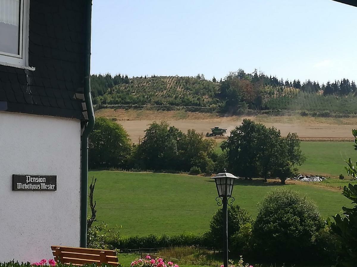 Bauernhofpension Wiebelhaus-Mester Lennestadt Exterior photo